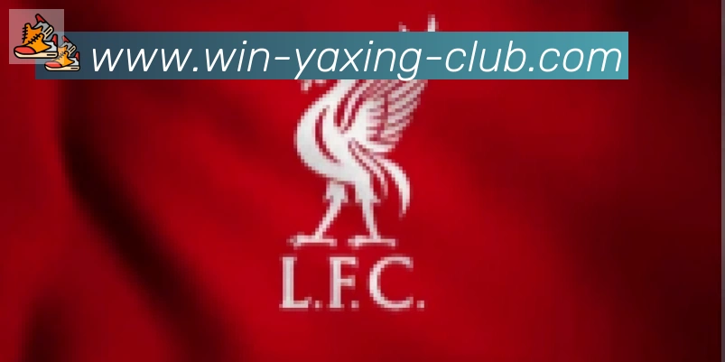 亚星体育合作伙伴